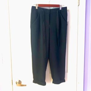 Aritzia Wilfred Black Allant Pant